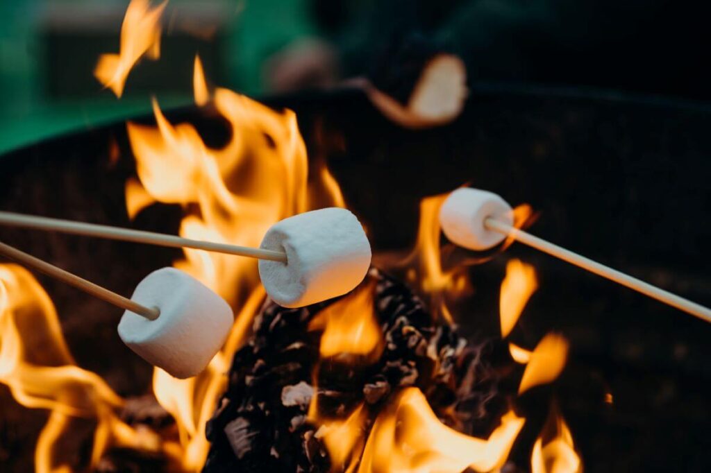 roasting marshmallows campfire